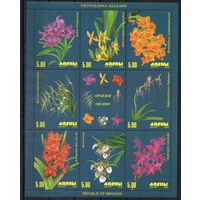 Абхазия 2000. Флора. Орхидеи малый лист  (456)