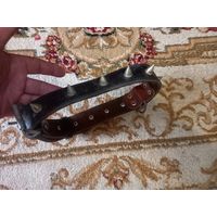 Ошейник для большой собаки с шипами