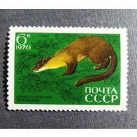 Марка СССР 1970 год Сихотэ-Алинский заповедник