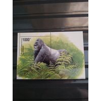 Конго 2002г. Горилла.