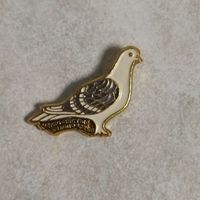 Значок СССР. Голубь Черно-чистый белопоясный.  Не частый.