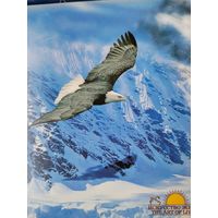 Шри Шри Рави Шинкар книга и аудиодиски