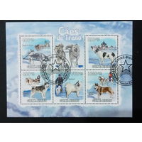 ФАУНА СОБАКИ ПОРОДЫ СОБАК ЖИВОТНЫЕ     БЛОК  сто