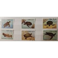 РАСПРОДАЖА КОЛЛЕКЦИИ. Куба. марки "черепахи"