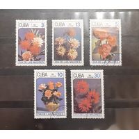 Куба. 1987 год. Флора. Цветы (218)