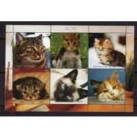 СЕРИЯ БЛОКОВ  СОБАКИ КОШКИ  фауна   MNH