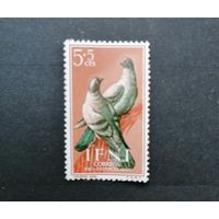 Ифни /Испания / 1953-54-56-57 / Фауна / птицы/голуби