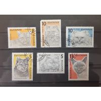 Болгария. 1989 год. Фауна. Кошки (6 марок)