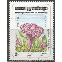 Кампучия. Цветы. Пиростегия очаровательная. 1983г. Mi#515.