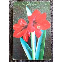 С праздником!