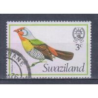 [881] Свазиленд 1976. Фауна.Птицы. Гашеная марка.