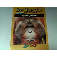 000217/ОРАНГУТАНЫ