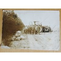 Фото посев картошки