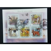 ФАУНА СОБАКИ ПОРОДЫ СОБАК ЖИВОТНЫЕ     БЛОК  сто