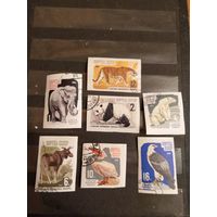 1964 СССР Загорский 2949-2955 фауна гашеная полная серия MNH** (c-10)