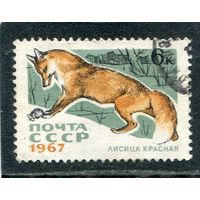 СССР 1867.. Пушные звери. Лисица красная