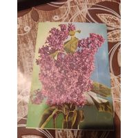 Открытка,подписана,телеграмма