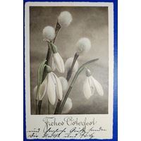 Открытка. Пасхальная. 1940 г.