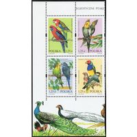 Польша 2004. Птицы. Попугаи. 4 марки Mi 4117-20