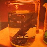 BITCH MAGNET - Ben hur LP 1990, LP