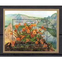 Цветы КНДР 1989 год 1 блок