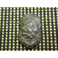 Знак . Союз Сельскохозяйственных и Лесных Рабочих . 1926 - 31х годов . СССР