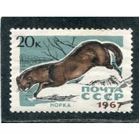 СССР 1967.. Пушные звери. Норка