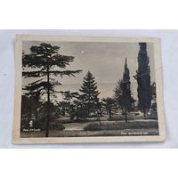 1940 год Сочи  открытка