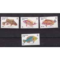 Гонконг Китай  1981  Рыбы морская фауна жизнь животные марки ** MNH