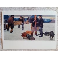 Снегирев. В Арктике