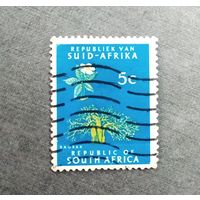 Марка Южная Африка 1961 год Баобаб