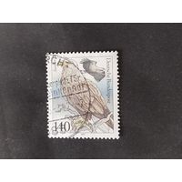 ФРГ 1991 птицы