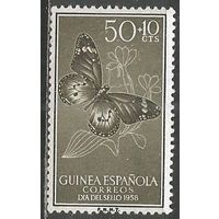 Испанская Гвинея. Африканская бабочка. 1958г. Mi#355.