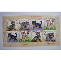 Марки РБ. Котята. 2017