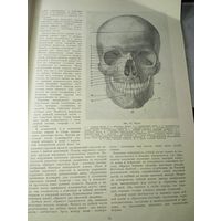 Книга по искусству . С . У . Рабинович  . Изображение человека на основах пластической анатомии . 1965 г.