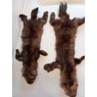 2 шкурки соболя баргузинского