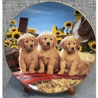 Декоративная тарелка Royal Doulton. На вес золота! Англия. 1995 год. 20 см.