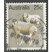Австралия. Домашние животные. Овцы. 1969г. Mi#421.