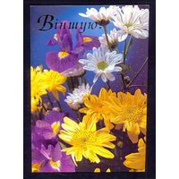 2003 ДМПК Беларусь Поздравляю / брак /