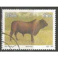 ЮАР. Дикий бык. 1991г. Mi#814.