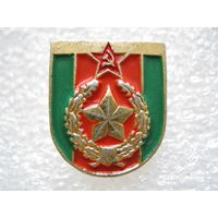 Мотострелковые войска СССР