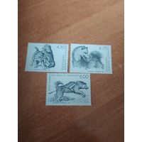 Марки Гренландии, собаки.