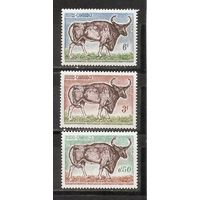 ФФ1 Камбоджа 1964 Буйвол