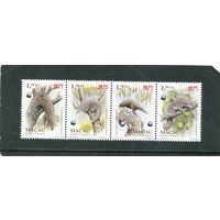 Масао. Фауна. Китайский ящер. Сцепка