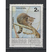 Фауна Кошки Венгрия 1986 Used