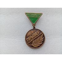 Медаль (тяжёлая)