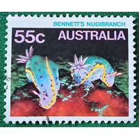 Австралия 1985. Голожаберник Беннетта
