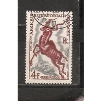 ФФ2 Африканская Экваториальная Франция 1957 Фауна гаш