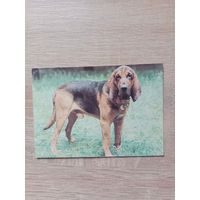 Календарик 1993