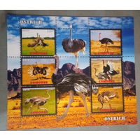 СЕРИЯ Блоков птицы  фауна MNH